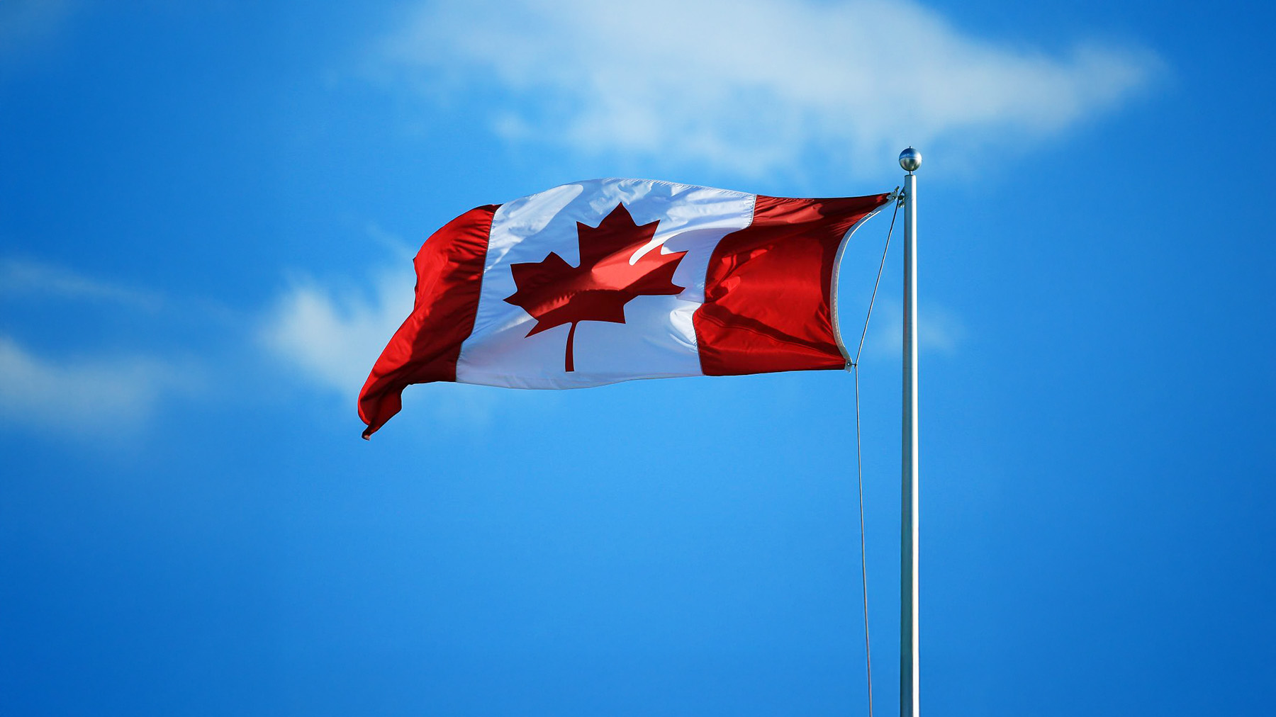 Canada Vaping Market Snapshot 2026: A Guide to B2B Opportunity